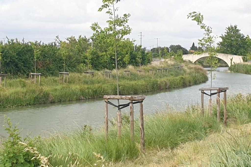 Un Bol D'Air Frais Et De Soleil Entre Campagne Et Plage Villa Beziers Bagian luar foto