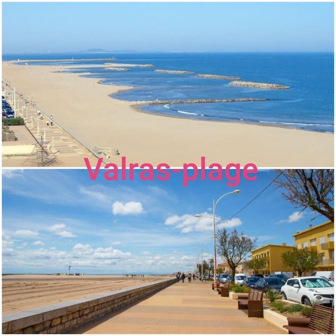 Un Bol D'Air Frais Et De Soleil Entre Campagne Et Plage Villa Beziers Bagian luar foto